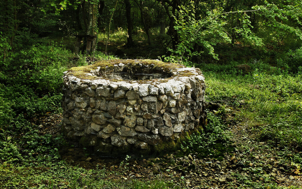 Eliezer’s test at the well was of his own making