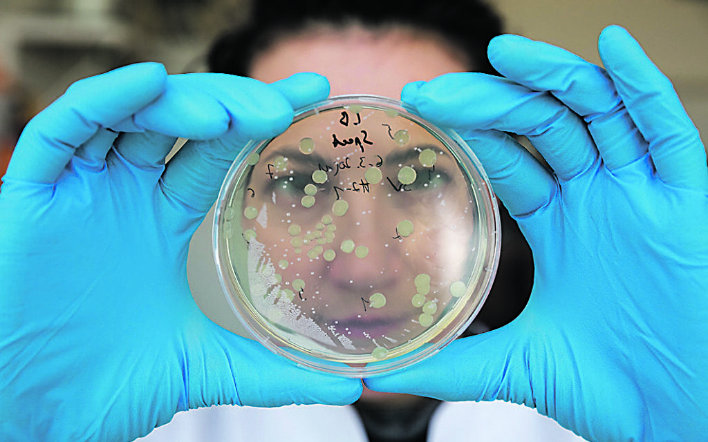 Gene Testing X.