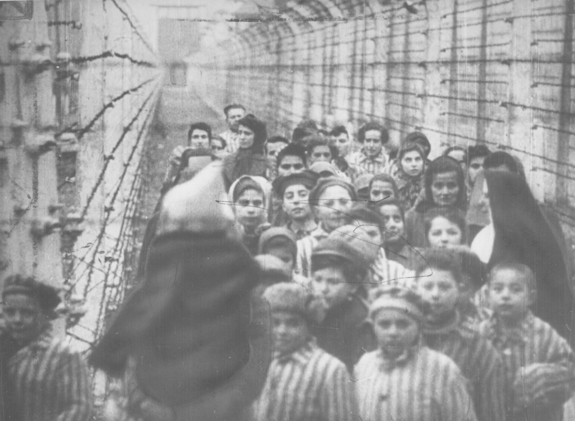 Teaching about the Holocaust in the Muslim world