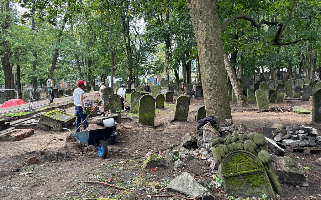 Polish archaeology students at work excavating a Jewish cemetery in Warsaw, September 2024. (Shira Li Bartov)