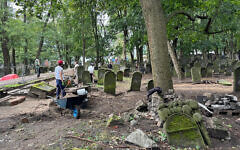 Polish archaeology students at work excavating a Jewish cemetery in Warsaw, September 2024. (Shira Li Bartov)