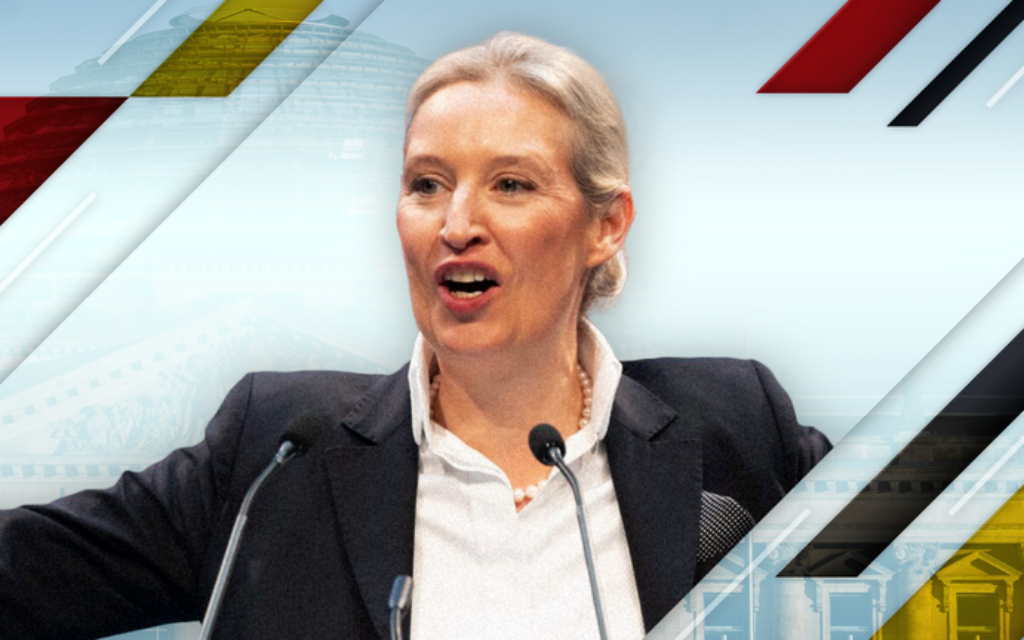 Alice Weidel AfD co-leader