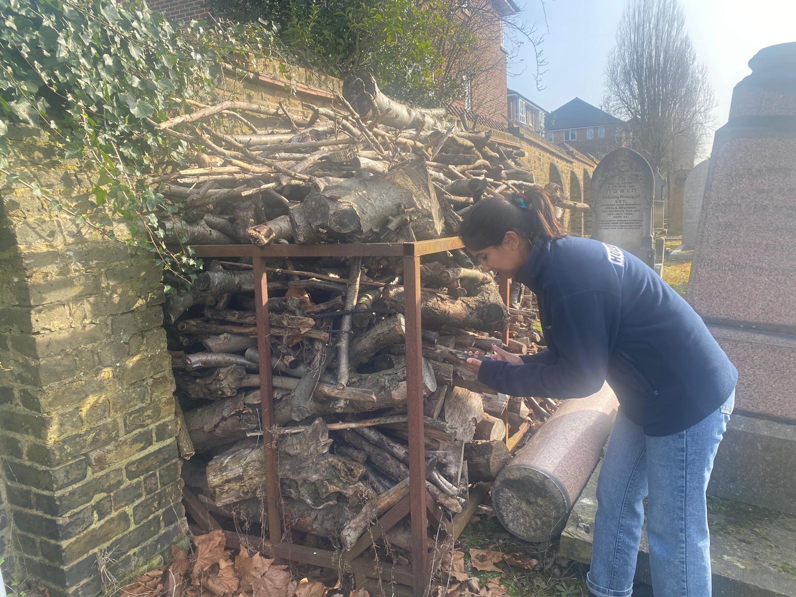 Willesden Cemetery unveils heritage plaque scheme - Jewish News