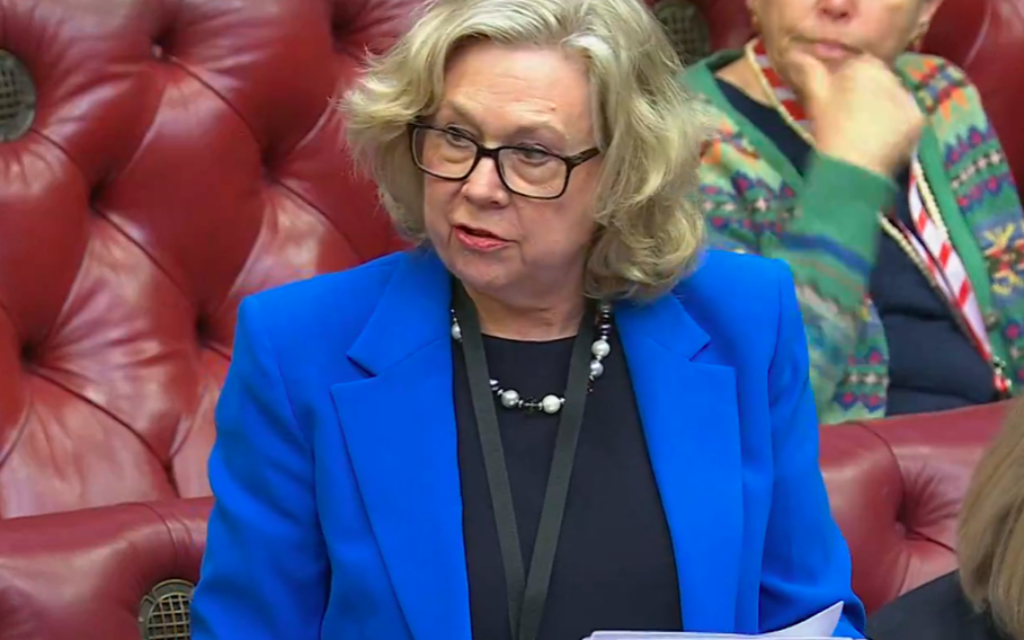 Liberal Democrat peer Baroness Northover addresses the House of Lords (House of Lords/UK Parliament)