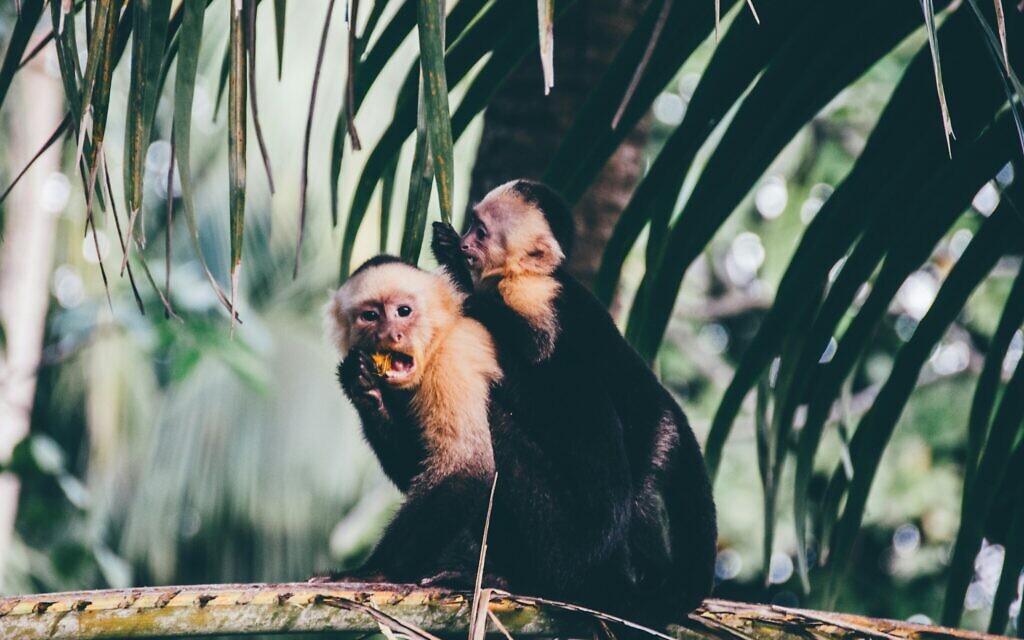 Photo by Milo Miloezger on Unsplash