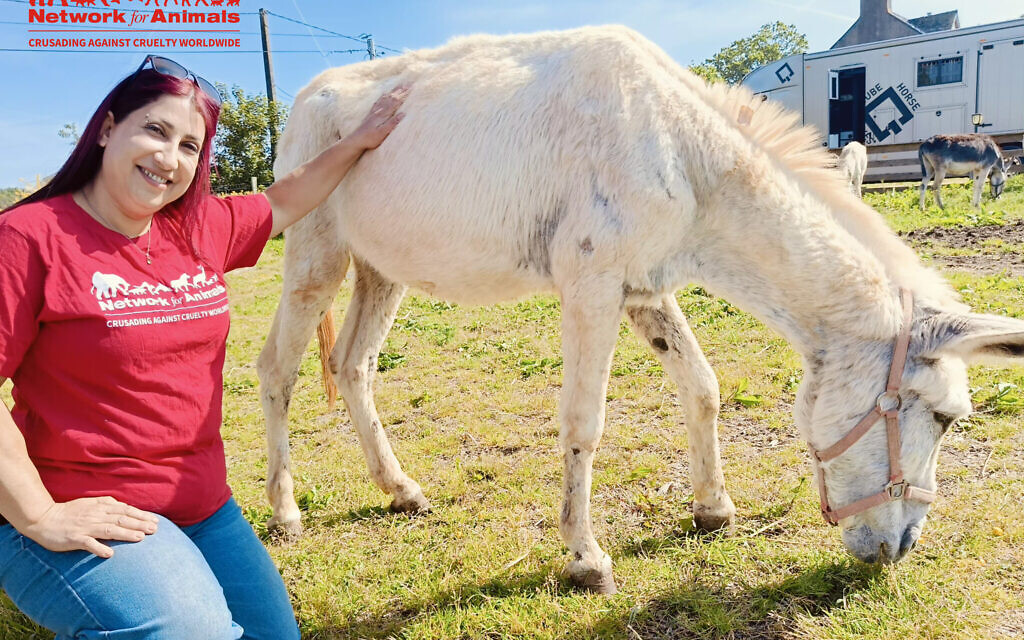 SOS founder Sharon Cohen with rescued donkey Avigdor at his new home in France. Photo Credit: SOS