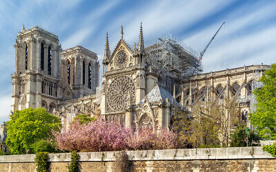 Notre Dame Cathedral has been restored