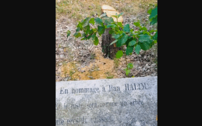 Images of the felled tree were met with widespread anger in France