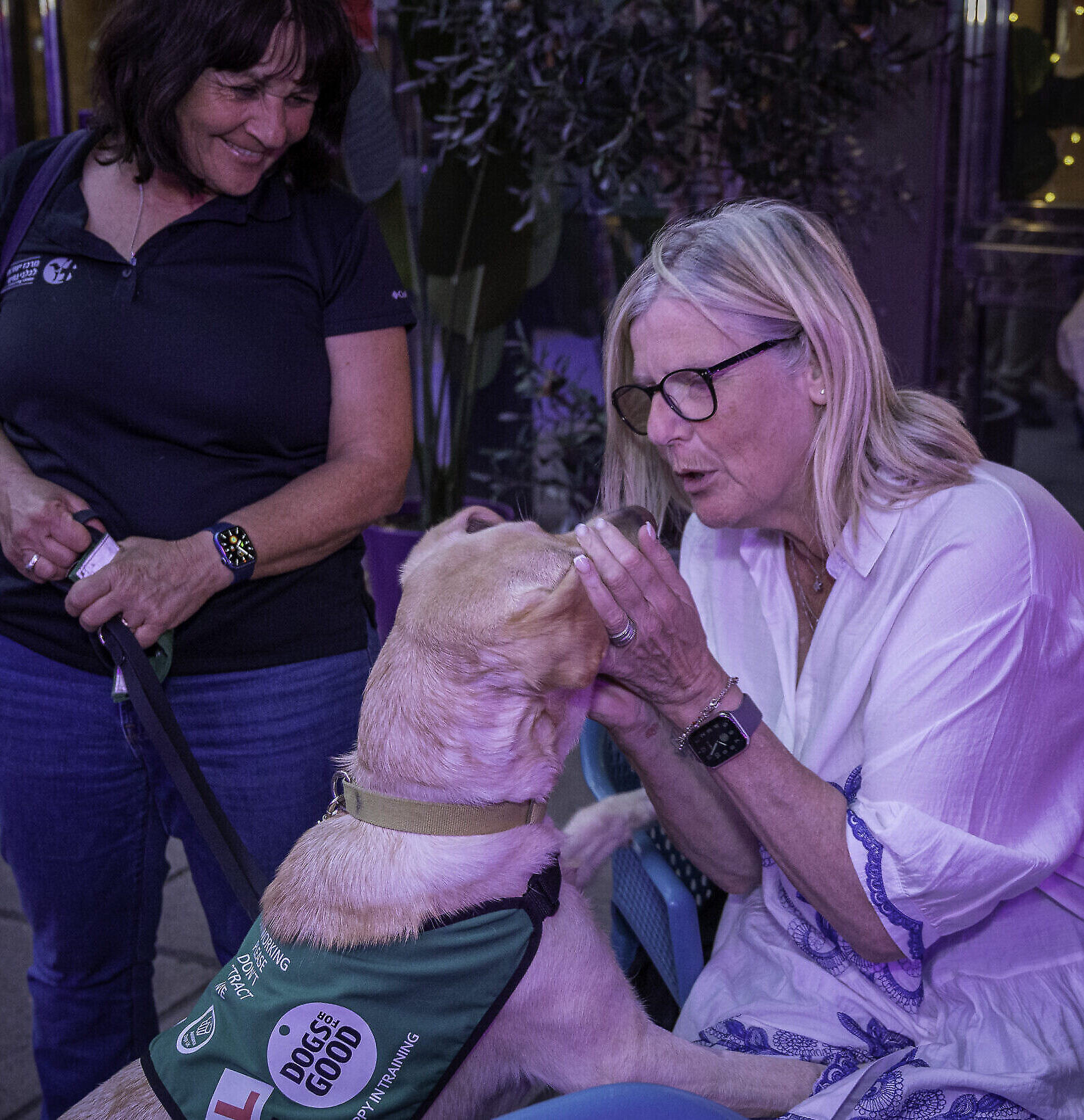 Israel Guide Dogs PETS+: Israel Guide Dog Teddy returns home - Jewish News