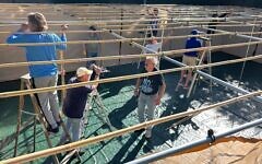 Members of Temple Isaiah’s Men’s Club, Anshei Isaiah, build a new sukkah for the Pasadena Jewish Temple and Center. (Courtesy Temple Isaiah)