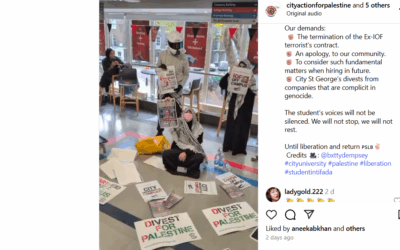 An Instagram post from the "City Action for Palestine" campus protest