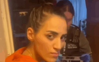 Rahmeh Aladwan when first arrested by the Met Police. She has been arrested multiple times since