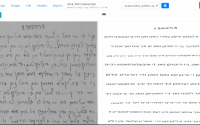 Screenshot: Vilnius University, with Yiddish and tool enabling Hebrew translation