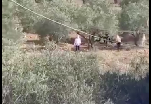 October sees unprecedented surge in Israeli settler violence against Palestinians