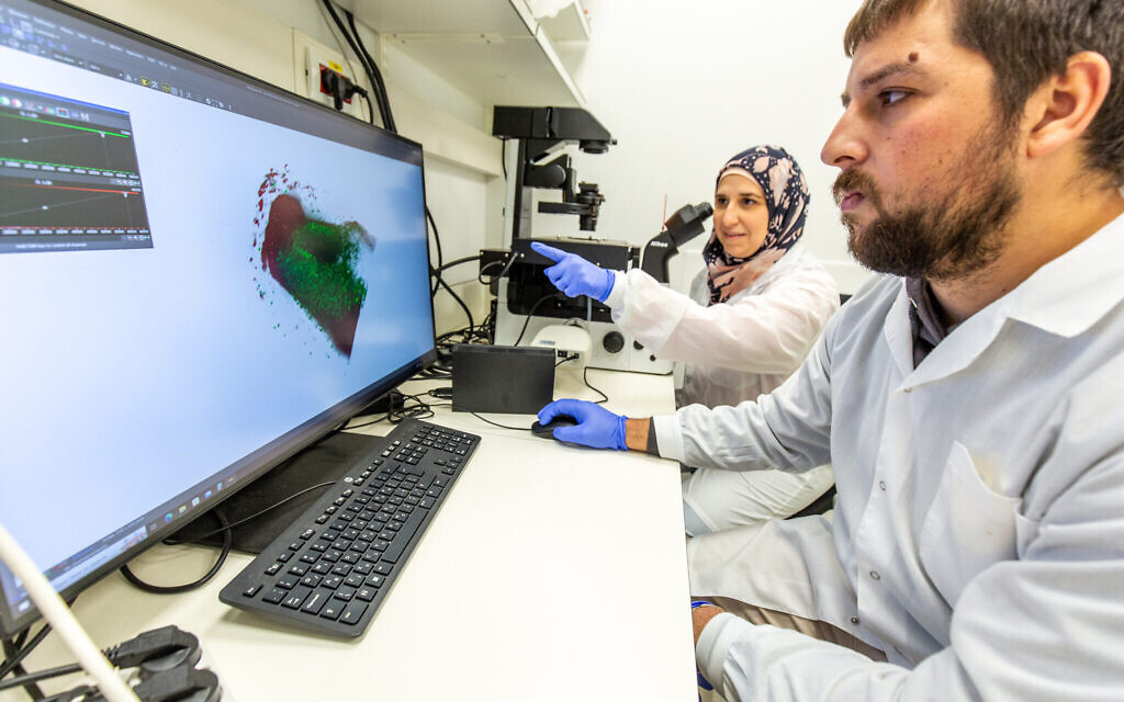Researchers at Hebrew University’s Faculty of Medicine. Photo: Yosef Adest / Hebrew University of Jerusalem