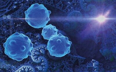 Cancer Cells