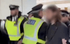 Metropolitan Police officers detain a protester during a pro-Palestinian demonstration at University College London. Photo: X Metropolitan Police officers detain a protester during a pro-Palestinian demonstration at University College London. Photo: X