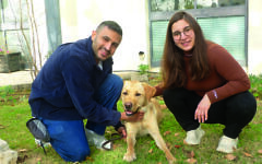 IGDC ambassador Teddy returned to his foster parents forever IGDC ambassador Teddy returned to his foster parents forever