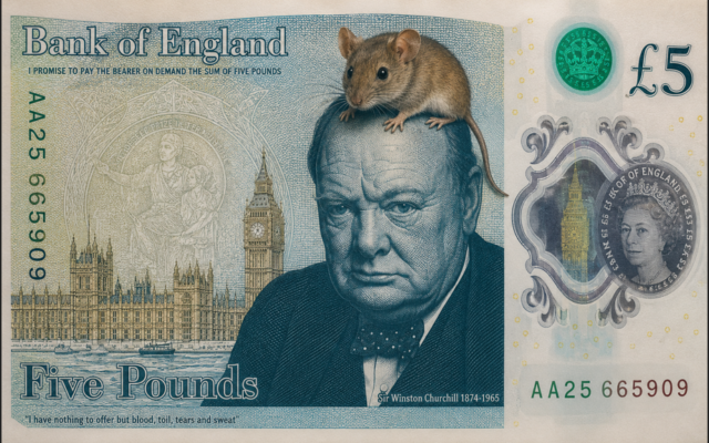 Is Churchill soon to be replaced by a mouse on our currency?