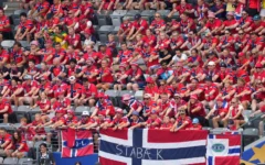 Crowd at Norway vs Brazil match Crowd at Norway vs Brazil match