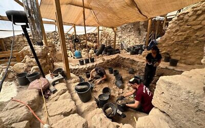 The burnt wooden beams discovered in the City of David. Photo: Reut Vilf, City of David.