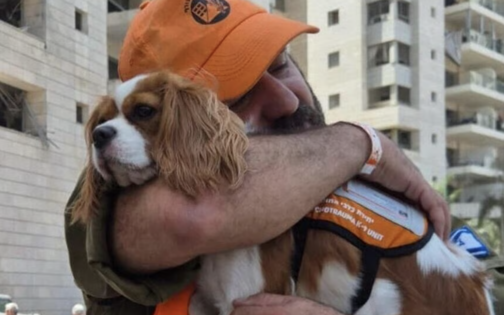 Lucy, United Hatzalah’s first therapy dog. Photo Credit: United Hatzalah