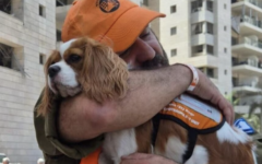 Lucy, United Hatzalah’s first therapy dog. Photo Credit: United Hatzalah