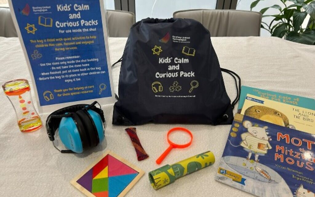 Accessibility initiatives at United Synagogues. Pic: Courtesy