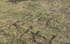 Graffiti left on a field near Sullivan Way in Elstree. (Photo Credit: via Watford Observer) Graffiti left on a field near Sullivan Way in Elstree. (Photo Credit: via Watford Observer)