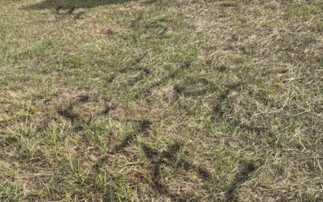 Graffiti left on a field near Sullivan Way in Elstree. (Photo Credit: via Watford Observer)