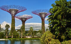 Supertrees in Singapore