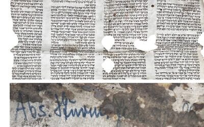 Auction catalogue page for the piece of Torah scroll (Photo: Valkyrie Auctions website)