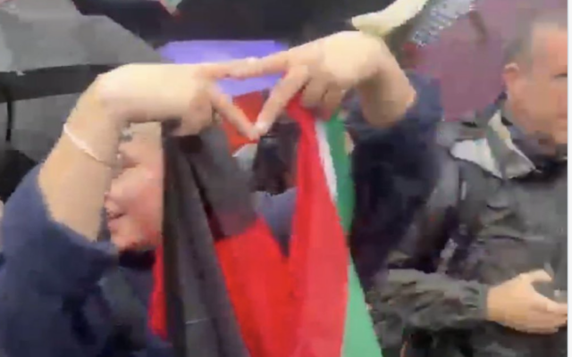 A protester makes a Hamas hand sign during a pro-Palestine march in London.