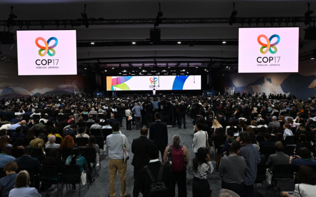 COP 17 (Credit: UN Biodiversity)