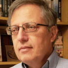 Professor Meir Litvak